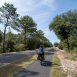 Les grandes lignes droites de la Vélodyssée en approchant les Landes