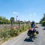 La Vélodyssée entre La Rochelle et Biscarosse sur des voies vertes ou de petites routes partagées