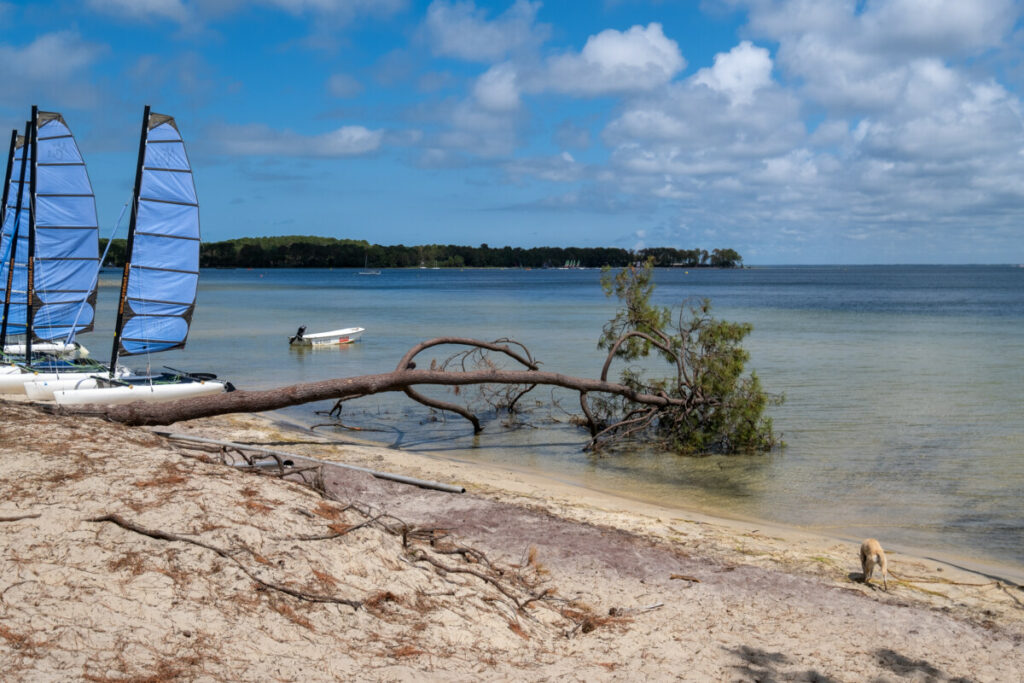 Halte paradisiaque à Bombannes à Maubuisson au bord du lac d'Hourtin-Carcans