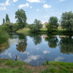Les bords sauvages de la Loue entre Doubs et Jura