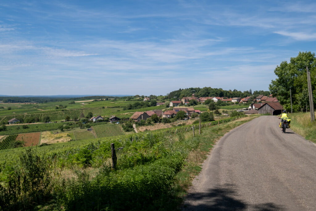 Paysages valonnés des vignobles du Revermont dans le Jura