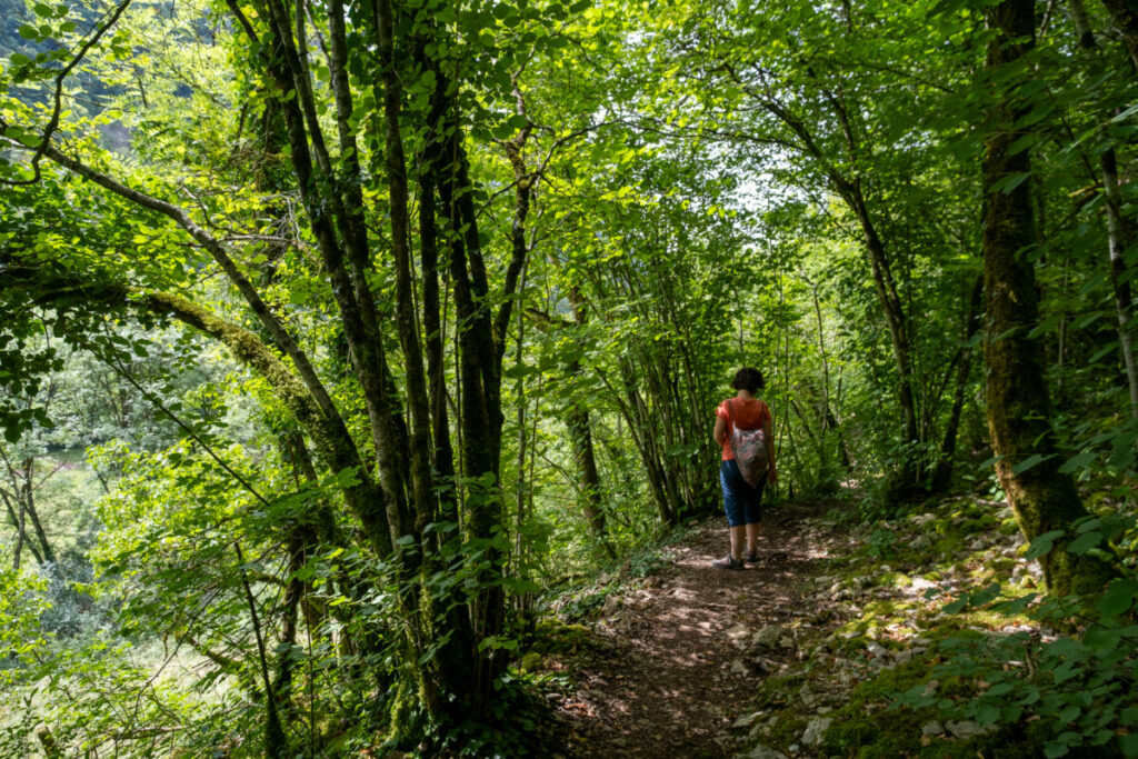 Le sentier des cascades à Baume-les-messieurs