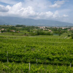Les vignobles du Prosecco tout aussi vallonnés que le Beaujolais !