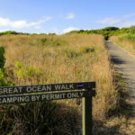 Règle n°1 du van en Australie : pas de camping sauvage là où c'est interdit. Les rangers veillent, et votre portefeuille s'en souviendra